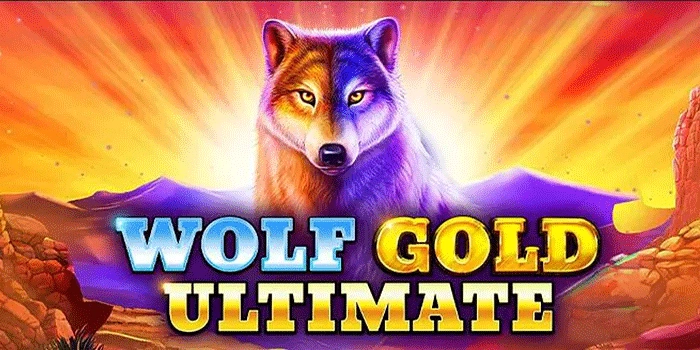 Panduan Membaca Pola Slot Wolf Gold Ultimate Agar Maxwin